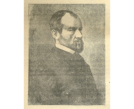 Журнал "Магнетизм и психология". № 1-19, 1899 год