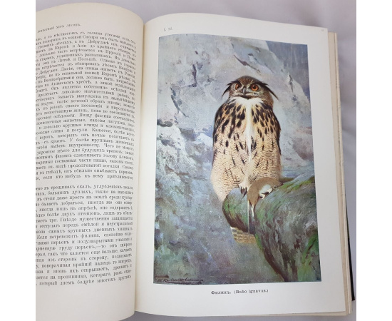 В. Гааке. Животный мир, его быт и среда (комплект из 3 книг)