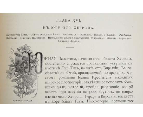 Святая Земля и Библия. Описание Палестины и нравов ее обитателей. Редкость