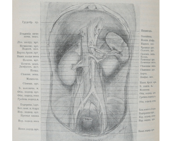 Лекции топографической анатомии и оперативной хирургии, читанные студентам и врачам (комплект из 2 книг)