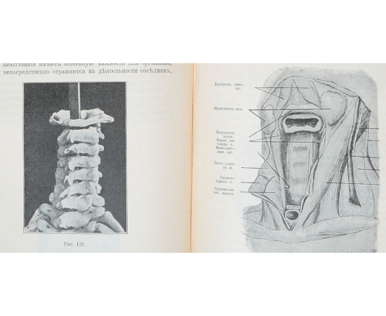 Лекции топографической анатомии и оперативной хирургии, читанные студентам и врачам (комплект из 2 книг)