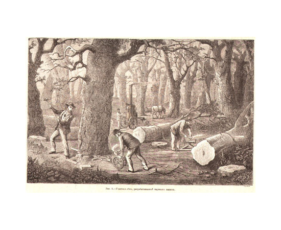 Журнал новейших открытий и изобретений. Выпуски 1 - 52, 1898 год