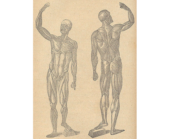 Домашний врач. 1901 год. Выпуски 1 - 12