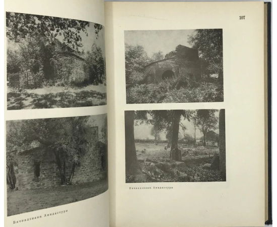 Чубинашвили Г.Н. Чубинашвили Г.Н. Архитектура Кахетии. Атлас. Исследования развития архитектуры в восточной провинции Грузии в IV-XVIII в.в