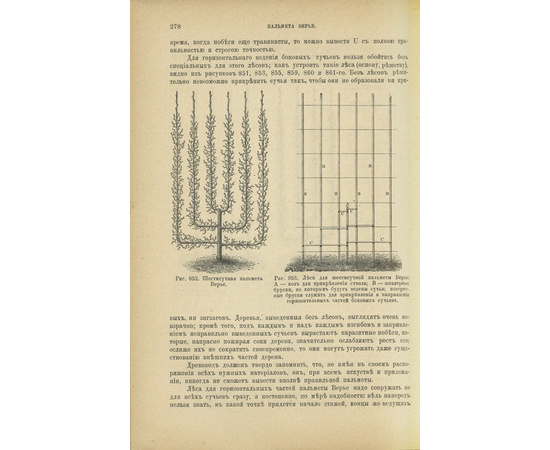 Рудзкий А.Ф. Руководство к плодоводству для практиков по Гоше в 2 томах