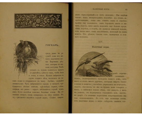 Богданов Модест. Конволют двух книг: 1) Мирские захребетники. Очерки из быта животных селящихся около человека.  2) Из жизни русской природ