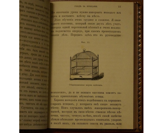 Шамов И, К. Наши певчие птицы их ловля и содержание в клетках.