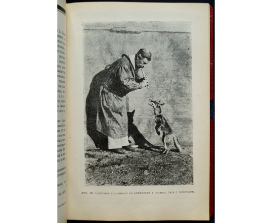 Дуров В.Л. Дрессировка Животных.