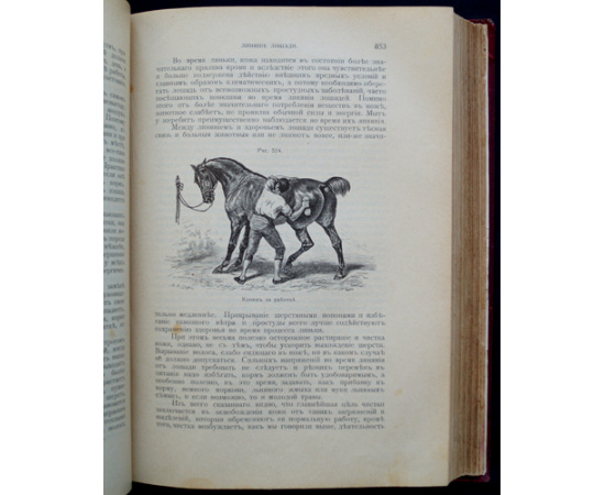 Урусов С.П., кн. Книга о лошади. Настольная книга для каждого конозаводчика, коневода, коневладельца и любителя лошади. В двух томах.