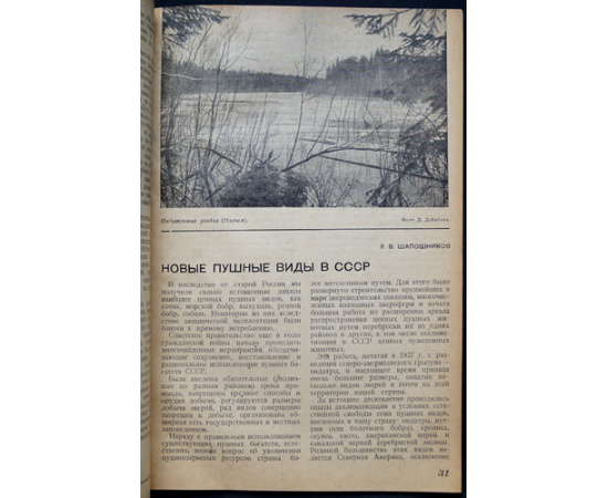Журнал Охотничий промысел  Советский охотник: Полные комплекты за 19381939 гг.