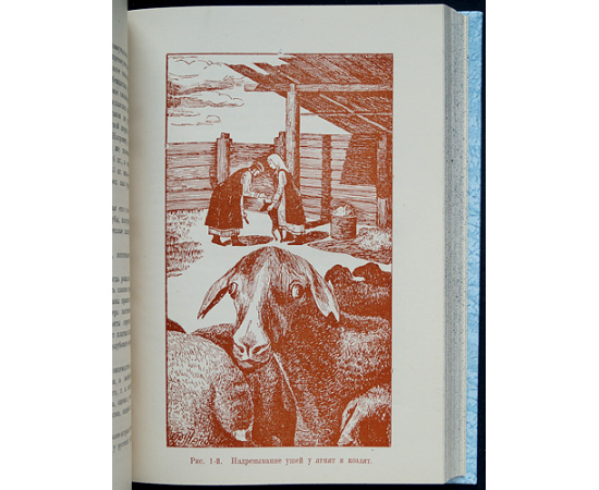 Бурятиеведение. 1928: В двух выпусках, в одном переплете