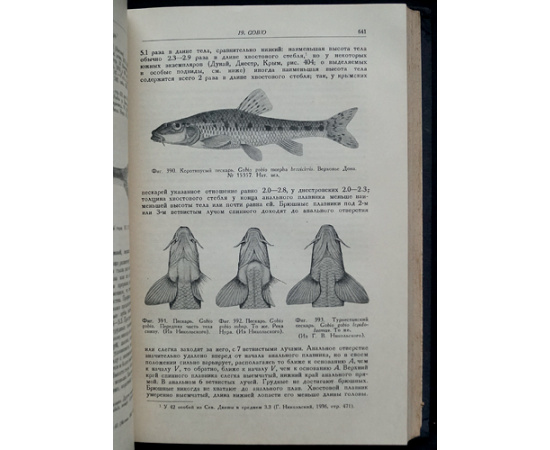 Берг Л.С. Рыбы пресных вод СССР и сопредельных стран. В трех частях