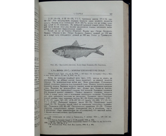 Берг Л.С. Рыбы пресных вод СССР и сопредельных стран. В трех частях