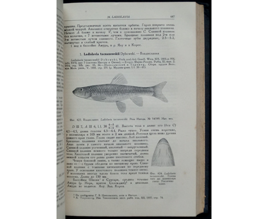Берг Л.С. Рыбы пресных вод СССР и сопредельных стран. В трех частях
