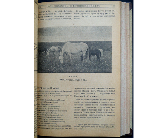 Коневодство и коннозаводство: Журнал. 1930 г. № 78-87, 1(88)-7(94). Годовой комплект