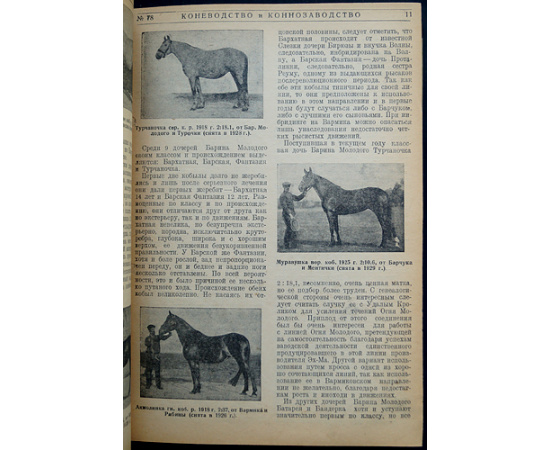 Коневодство и коннозаводство: Журнал. 1930 г. № 78-87, 1(88)-7(94). Годовой комплект