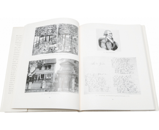 Friedrich Schiller книга
