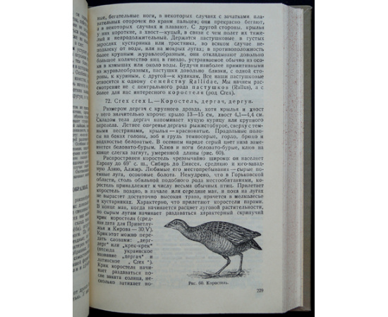 Пузанов И. И., Кипарисов Г. П., Козлов В. И. Звери, птицы, гады и рыбы Горьковской области