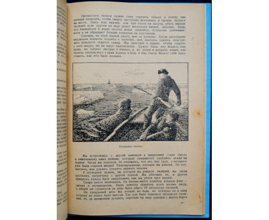 Нансен Фритьоф. Среди тюленей и белых медведей.