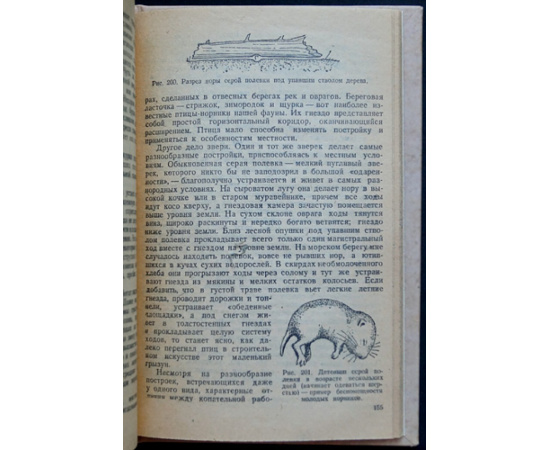 Формозов А.Н. Спутник следопыта.