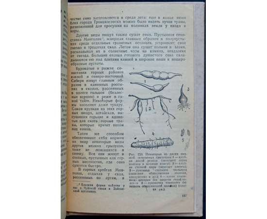 Формозов А.Н. Спутник следопыта.