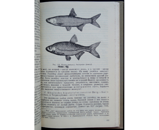 Пузанов И. И., Кипарисов Г. П., Козлов В. И. Звери, птицы, гады и рыбы Горьковской области