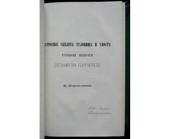 Мензбир М. Орнитологическая география Европейской России. Часть первая.