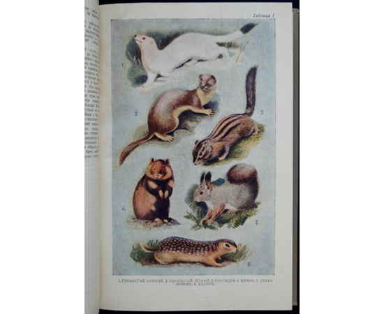 Пузанов И. И., Кипарисов Г. П., Козлов В. И. Звери, птицы, гады и рыбы Горьковской области