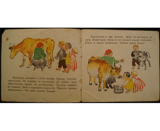 Манасеина Н. Зорька захворала.