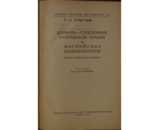 Шамиль  ставленник султанской Турции и английских колонизаторов.