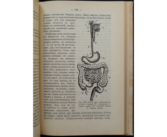 Демени Г., Филипп Ж., Расин Г. Теоретический и практический курс физического воспитания.