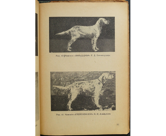 Готт Д.Д. Обмеры и оценка экстерьера собак.