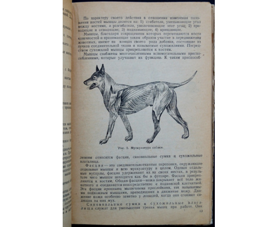 Андреев Л.А., проф., Васильев В.В. и др. Служебное собаководство. Руководство по подготовке специалистов службы собак. Часть 2.