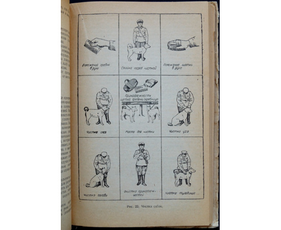Андреев Л.А., проф., Васильев В.В. и др. Служебное собаководство. Руководство по подготовке специалистов службы собак. Часть 2.
