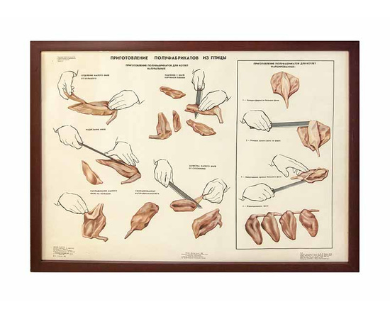 Костюк В.Д. Плакат "Приготовление полуфабрикатов из птиц"