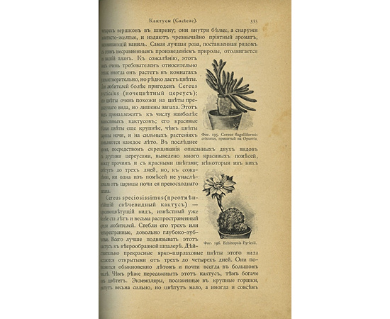 Гесдерфер М. Комнатное садоводство. Уход за комнатными растениями, их выбор и размножение. Приспособление комнат для культуры в них растений.