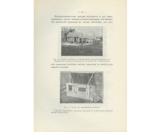 Гончаров В.П. Яйцо, как пищевой продукт 1913 года