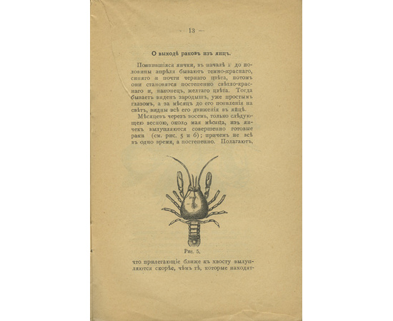 Рогов С. Разведение раков и ловля их. Практическое руководство для любителей, рыболовов и промышленников