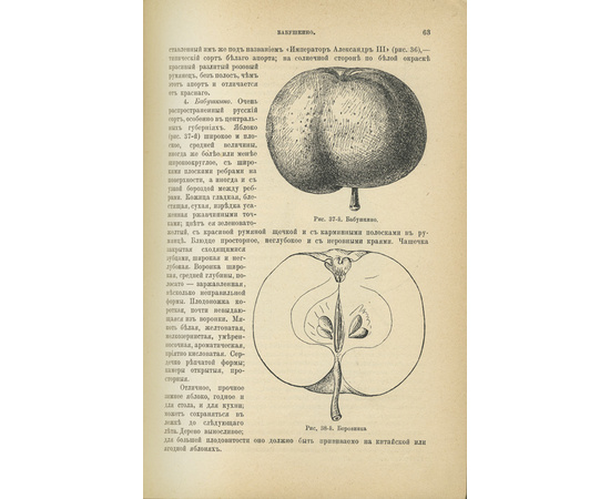Рудзкий А.Ф. Руководство к плодоводству для практиков по Гоше в 2 томах