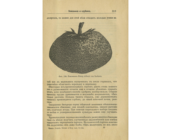 Шредер Р.И. Русский огород: Питомник и плодовый сад. Руководство к наивыгоднейшему устройству и ведению огородного и садового хозяйств