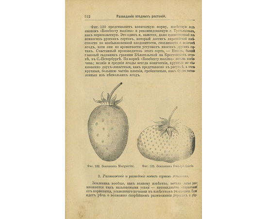 Шредер Р.И. Русский огород: Питомник и плодовый сад. Руководство к наивыгоднейшему устройству и ведению огородного и садового хозяйств