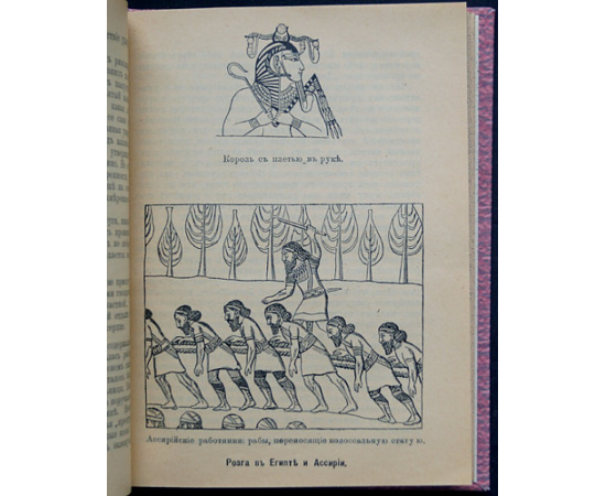 Купер В., д-р История розги во всех странах. Флагелляция и флагеллянты