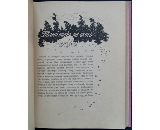 Лонг В. На крайнем Севере. (По тропинкам и дорожкам). Очерки из жизни животных на Крайнем Севере