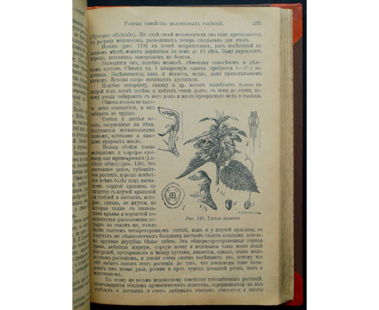Куханович А.Ф. Пчела и пчеловодство. Полный курс пчеловодства для начинающих пчеловодов