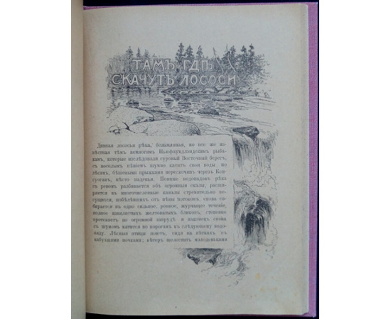 Лонг В. На крайнем Севере. (По тропинкам и дорожкам). Очерки из жизни животных на Крайнем Севере