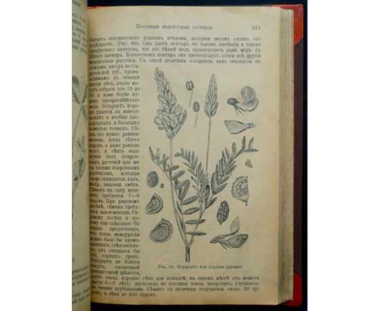Куханович А.Ф. Пчела и пчеловодство. Полный курс пчеловодства для начинающих пчеловодов
