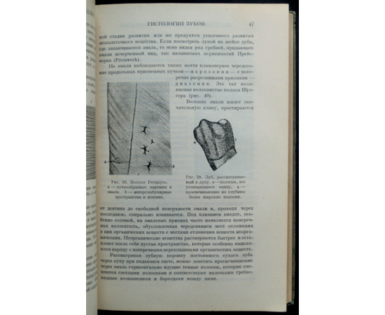 Гофунг Е.М. Клиника болезней зубов и полости рта.