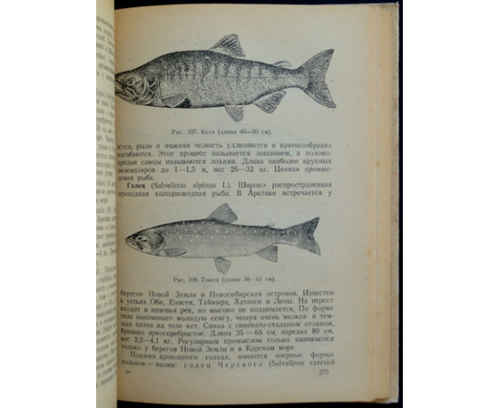 Лаппо С.Д. Справочная книжка полярника.