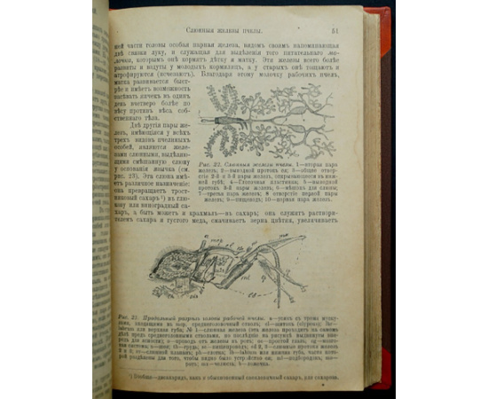 Куханович А.Ф. Пчела и пчеловодство. Полный курс пчеловодства для начинающих пчеловодов