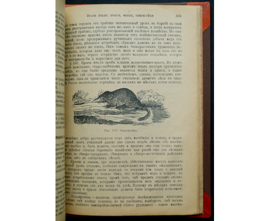 Куханович А.Ф. Пчела и пчеловодство. Полный курс пчеловодства для начинающих пчеловодов